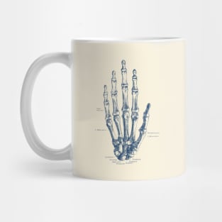 Hand Skeletal Diagram - Vintage Anatomy Poster Mug